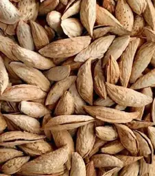 Kagazi Badam 500g